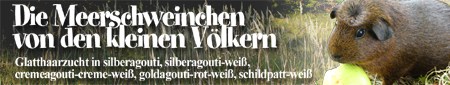die-kleinen-voelker.de