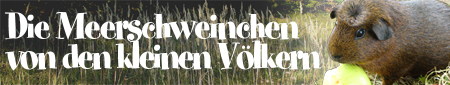 die-kleinen-voelker.de