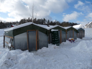 Freil�ufe im Winter