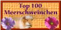 Top 100 Meerschweinchen - Hier gehts lang